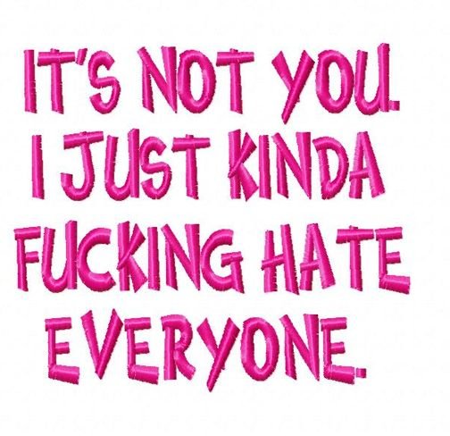Funny I Hate Everyone Embroidery Design 1